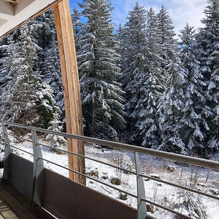Studio Chamrousse 1700 Pour 4 Personnes - Au Calme - Avec Wifi Eksteriør billede