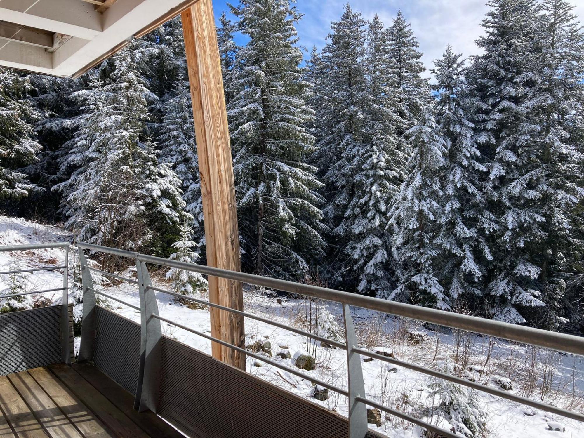 Studio Chamrousse 1700 Pour 4 Personnes - Au Calme - Avec Wifi Eksteriør billede