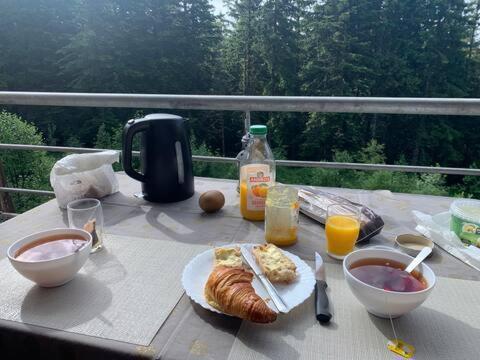 Studio Chamrousse 1700 Pour 4 Personnes - Au Calme - Avec Wifi Eksteriør billede